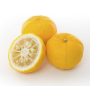 olejek bassau 50 ml - yuzu